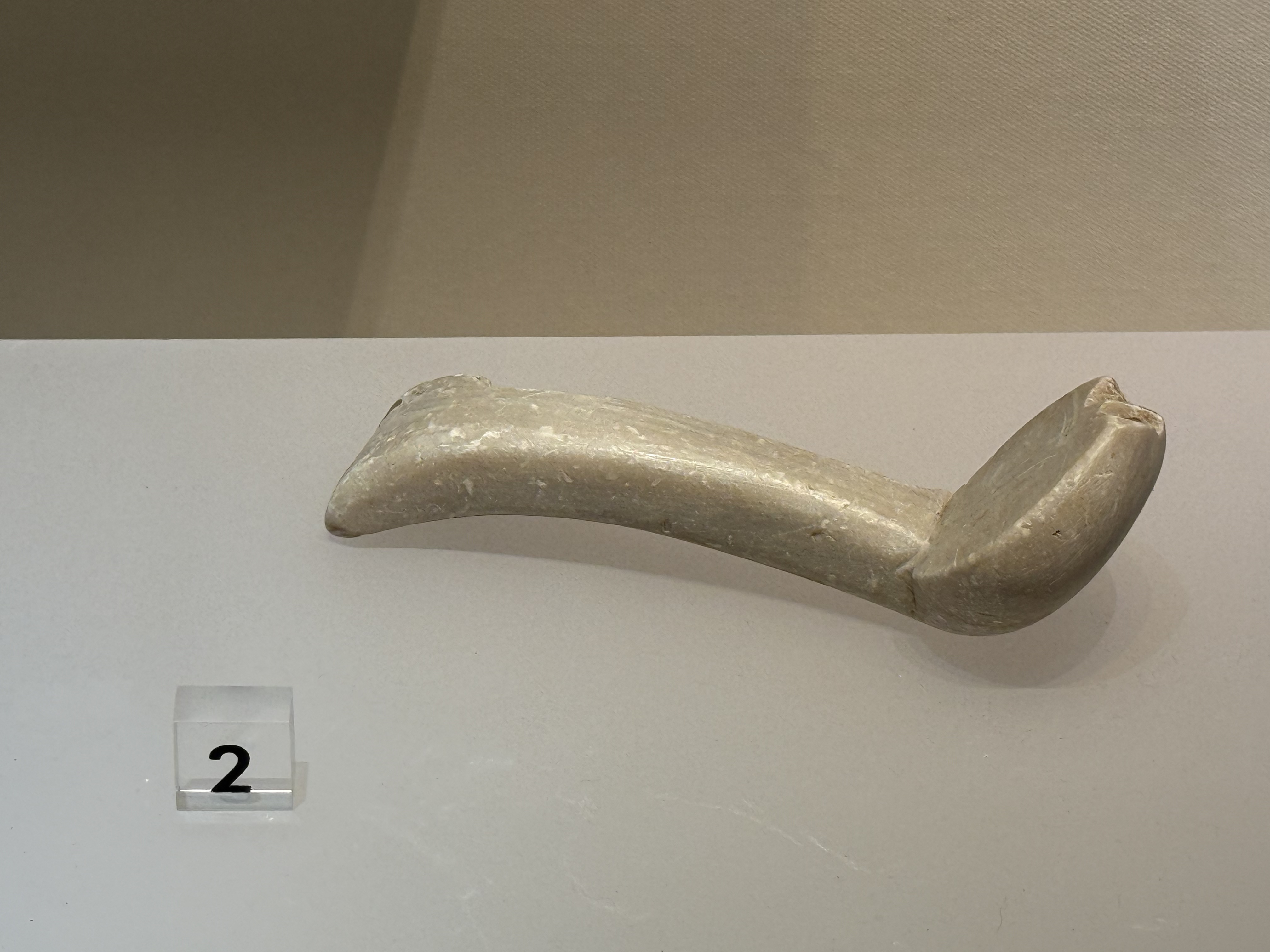 spoon