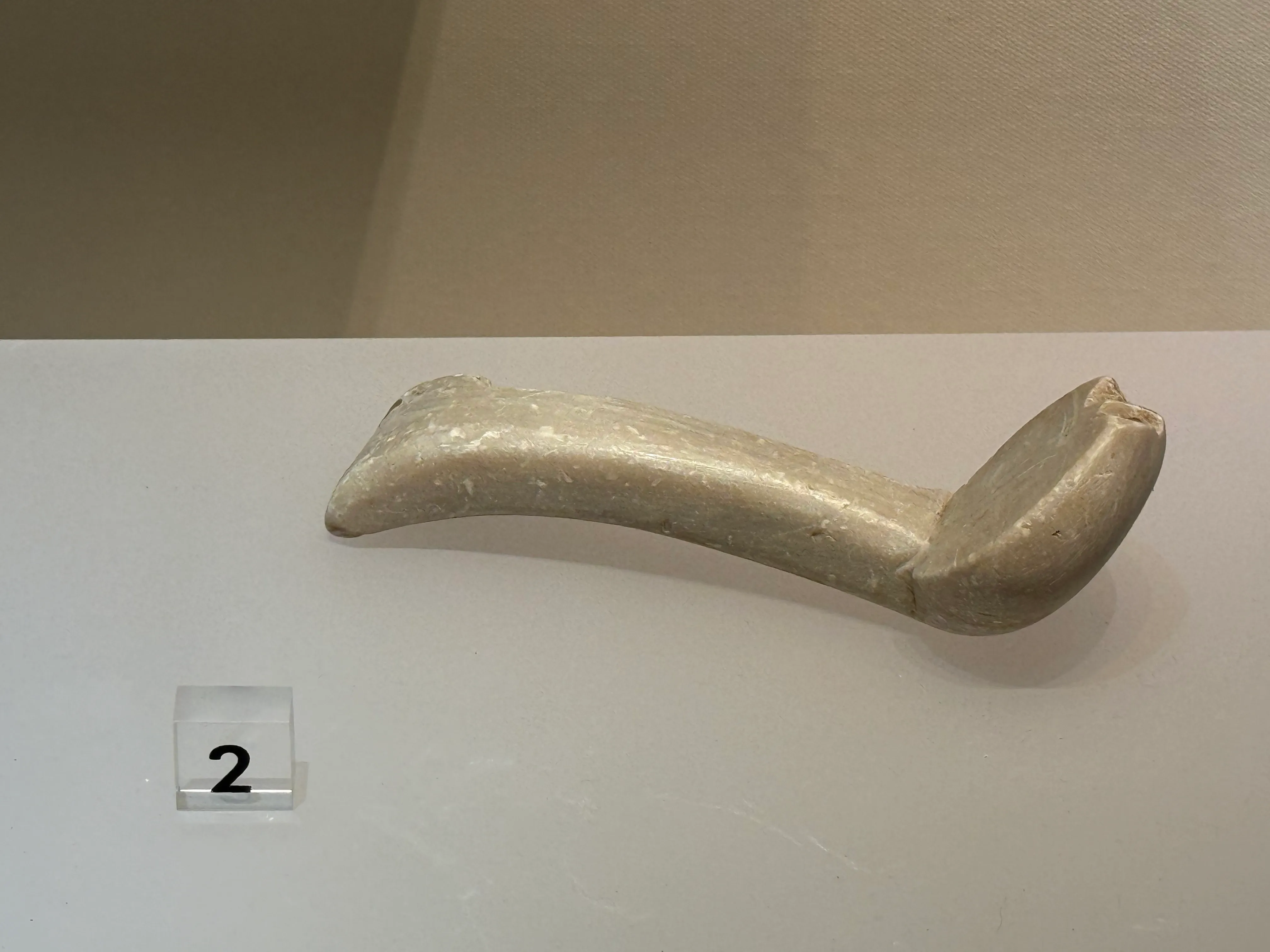 spoon